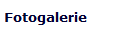 Fotogalerie