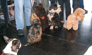 Freundetreff:  Rieke - Thimo - Anja, Erik, Willson