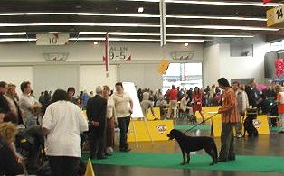 In einem anderen Ring