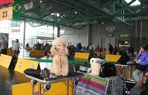 Bald geht es los ...