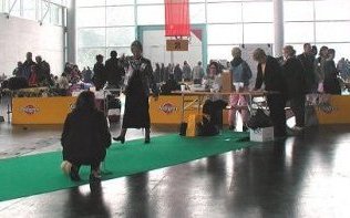 Hier wird klein Willson *gerichtet* 